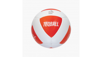 Minge oficială Teqball