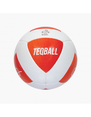 Minge oficială Teqball