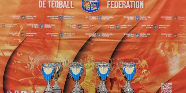 Decizie privind stabilirea criteriilor de clasificare și contabilizare a punctelor 