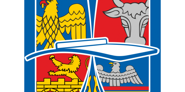 Decizia Comitetului Director al Federației Române de Teqball, din data de 15 martie 2022